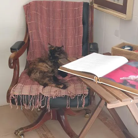 Lodge Casa Alex Guardamar del Segura