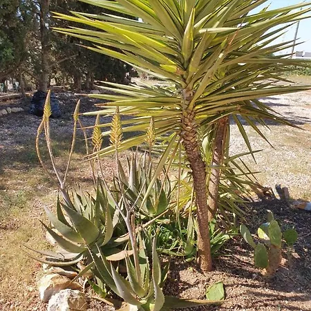 Casa Alex * كوارذامار ذيل سيغورا