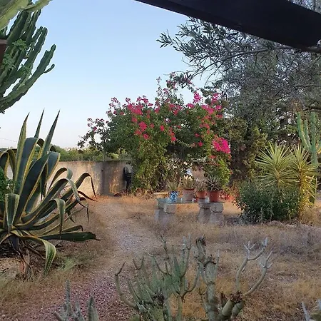 Lodge Casa Alex Guardamar del Segura