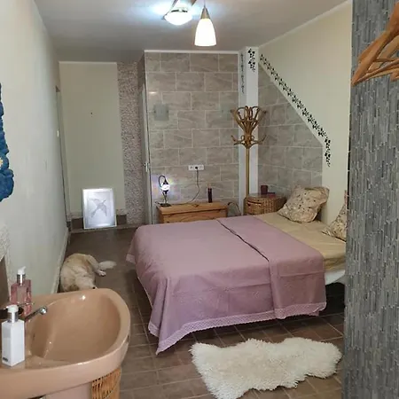 Lodge Casa Alex Guardamar del Segura