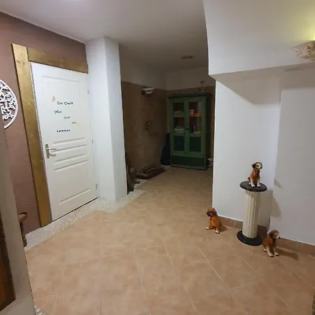 Casa Alex *